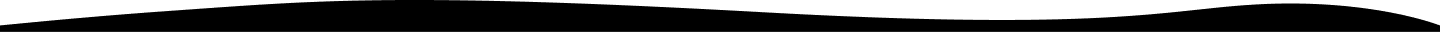 disability support services
