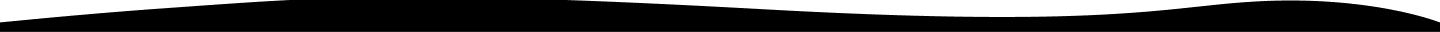disability support services
