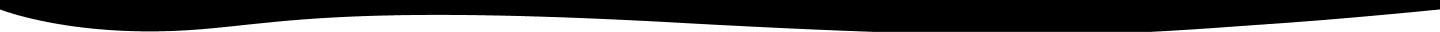disability support services